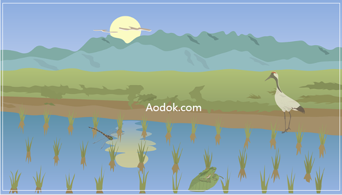 Aodok.com