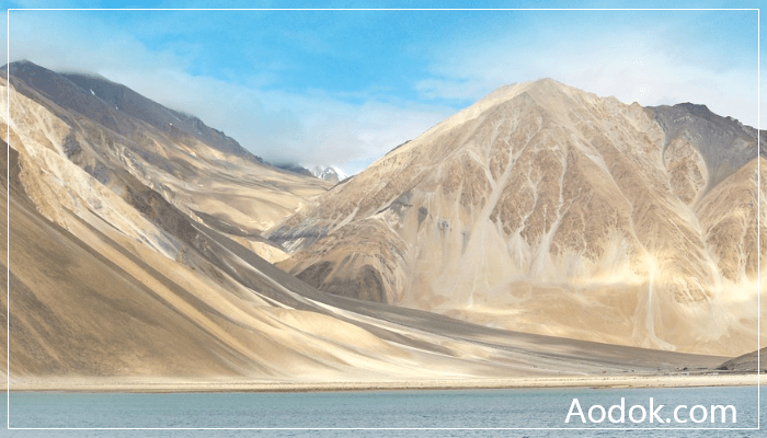 Rumi Spices：退伍军人把阿富汗藏红花卖向了全世界