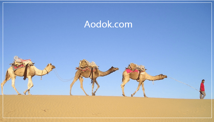 Jodoor 农业公司的物联网温室技术 让中东和北非干旱地区的农业可持续