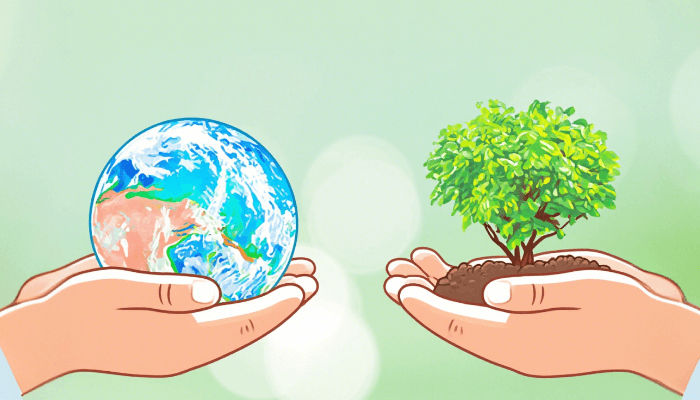 Climate Farmers 利用再生农业（regenerative agriculture）增加土壤的碳储存