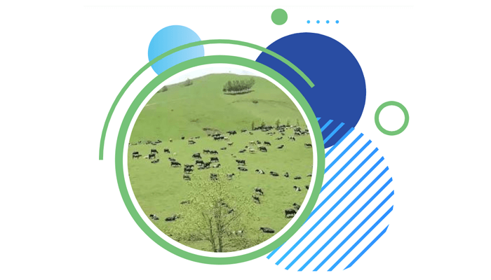 Nitroterra 允许农民量身定制 在现场生产可持续生物肥料