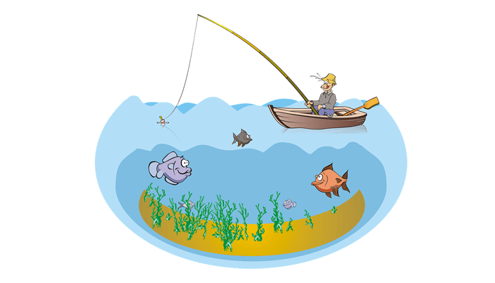 REWE 未来市场把鱼菜共生农场设在商店内