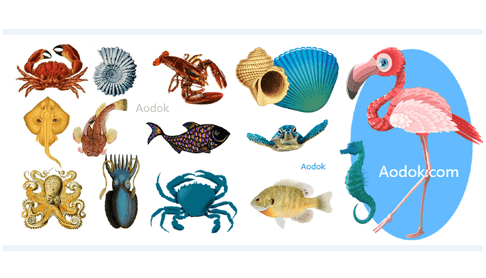 Forsea 用类器官生长（Organoid growth）技术培养鳗鱼等海鲜产品