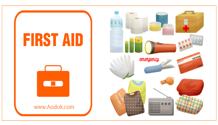 MYLO 使用实时视频和人工智能（AI）的家庭游泳池虚拟救生员