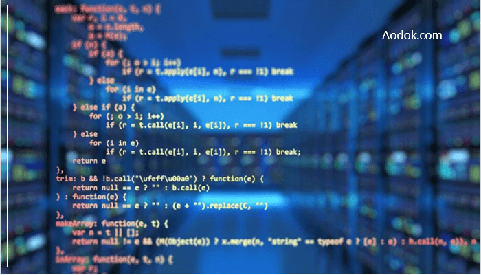 开发 WordPress 插件的程序员 月收入超10万还随时周游世界
