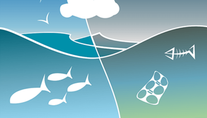 Molymem 二硫化钼（MoS2）膜涂层技术 提供新的水过滤解决方案