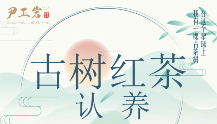 卖茶叶、赚百万、买跑车！985名牌大学生的花样创业人生！
